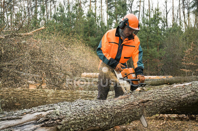 Forstarbeiter mit Kettensäge sägt einen Baumstamm. Prozess der Anmeldung — Stockfoto