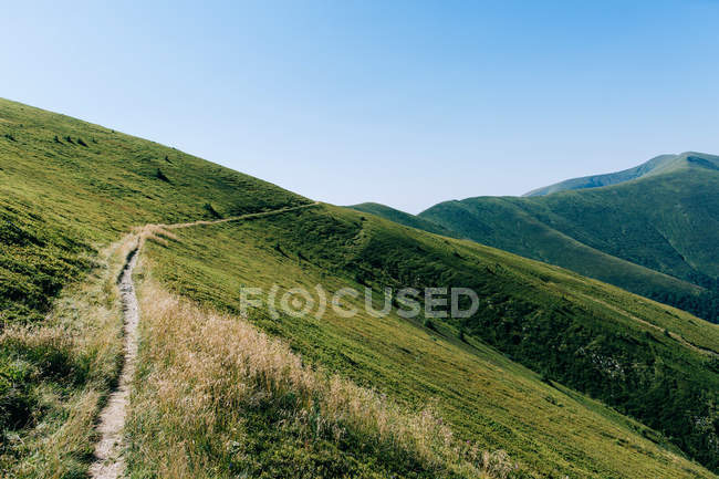 Гори зелені пагорби — стокове фото