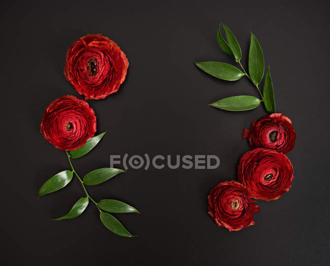 Flores elegantes rojas en la mesa negra - foto de stock