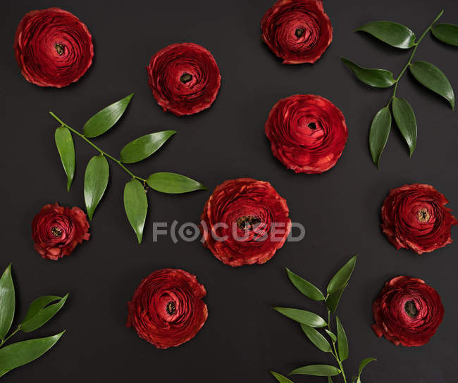 Flores elegantes rojas en la mesa negra - foto de stock