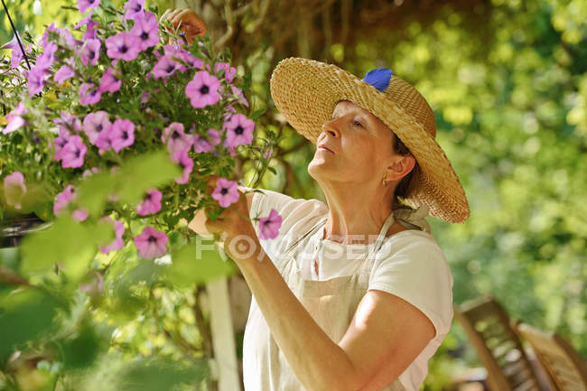 Mulher idosa deadheads flores — Fotografia de Stock