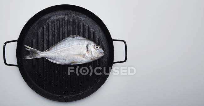 Präsentation von frischen Doraden auf Grillpfanne bereit zum Kochen, — Stockfoto