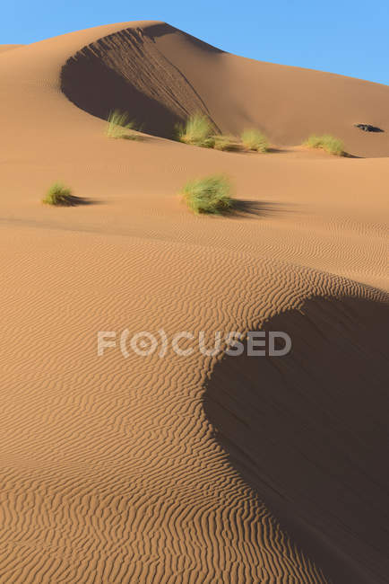 Dune di sabbia nel deserto del sahara — Foto stock