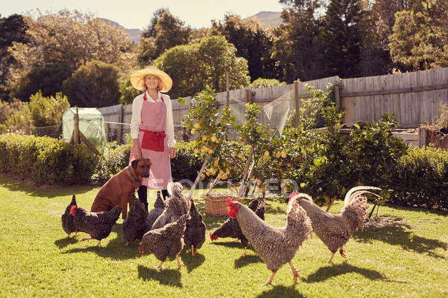 Mujer mayor en el patio trasero con pollos - foto de stock