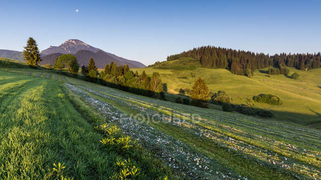 Mountain Choc au lever du soleil près de Dolny Kubin, Slovaquie — Photo de stock