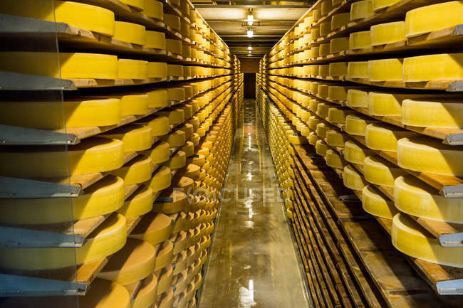 Interior view of a cheese diary in Switzerland — Stock Photo