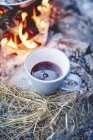 Blackcurrant hot drink — Stock Photo