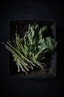 Fresh asparagus with spinach — Stock Photo