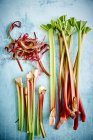 Tiges de rhubarbe fraîches biologiques — Photo de stock