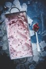 Gourmet fruity ice cream — Stock Photo