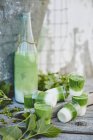 Smoothie verde congelado — Fotografia de Stock