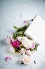 Красивые белые и розовые пионы — стоковое фото