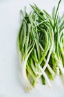 Fresh green onions — Stock Photo