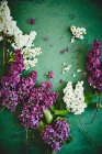 Hermosas flores lila - foto de stock