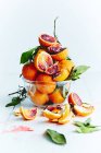 Naranjas frescas maduras y pomelos - foto de stock