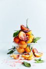 Fresh ripe oranges and grapefruits — Stock Photo