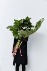 Woman hiding behind rhubarb leaves — Stock Photo