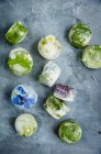 Cubetti di ghiaccio con fiori ed erbe — Foto stock