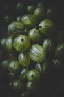 Uva spina verde fresca — Foto stock