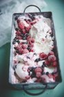 Gourmet fruity ice cream — Stock Photo
