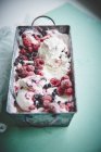 Fruchtiges Gourmet-Eis — Stockfoto