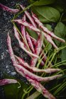 Fresh red peas pods — Stock Photo