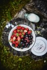 Fresh strawberries and cherries in metal bowl — Stock Photo