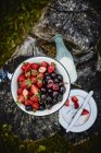Свіжа полуниця і вишня в металевій мисці — стокове фото