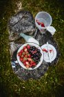 Fresh strawberries and cherries in metal bowl — Stock Photo