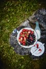 Frische Erdbeeren und Kirschen in Metallschale — Stockfoto