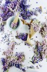 Belles fleurs en cônes de gaufre — Photo de stock