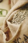 Зелені кавові зерна в мішку — стокове фото