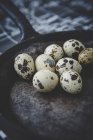 Ovos de codorna em conchas na frigideira — Fotografia de Stock