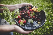 Свіжі стиглі ягоди в мисці — стокове фото