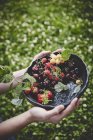 Свежие спелые ягоды в миске — стоковое фото
