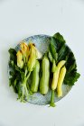 Fresh zucchini and zucchini flowers — Stock Photo