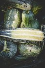 Citrouilles et courges fraîches — Photo de stock