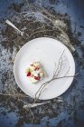Delizioso antipasto su piatto bianco — Foto stock
