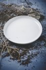 Empty white plate — Stock Photo