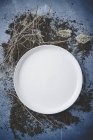 Piatto bianco vuoto — Foto stock