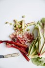 Tiges de rhubarbe fraîches biologiques — Photo de stock