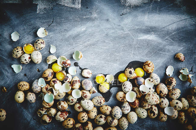 Ovos de codorna com cascas de ovos — Fotografia de Stock