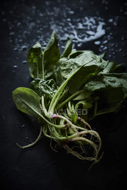 Espinacas verdes frescas - foto de stock
