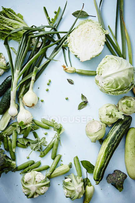 Verduras verdes de otoño - foto de stock