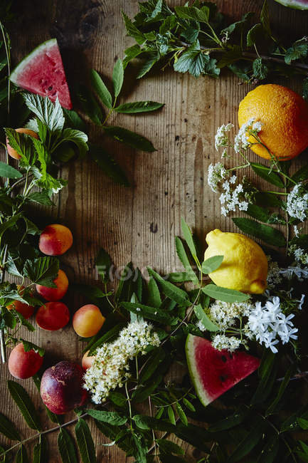 Sommerfrüchte und Pflanzen — Stockfoto