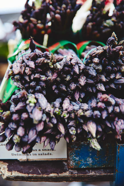 Свіжі purple артишоками — стокове фото