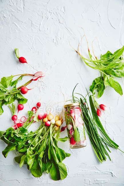 Fresh ripe radishes — Stock Photo