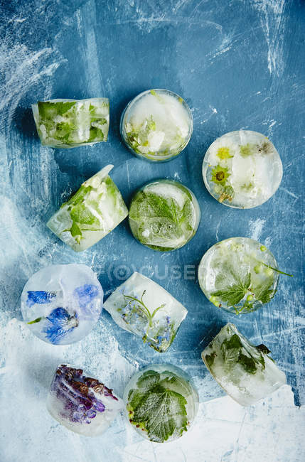 Cubos de hielo con flores y hierbas - foto de stock