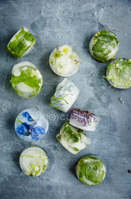 Cubetti di ghiaccio con fiori ed erbe — Foto stock