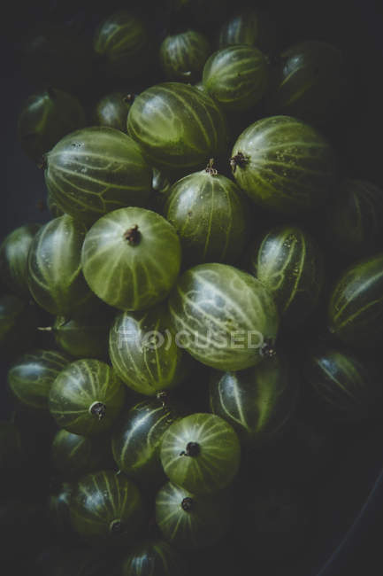 Grosellas verdes frescas - foto de stock